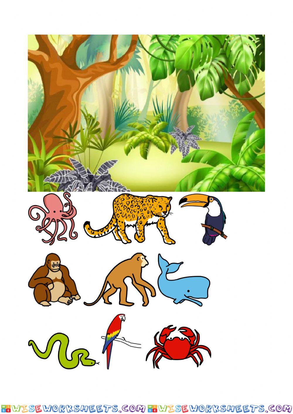 Los animales de la selva