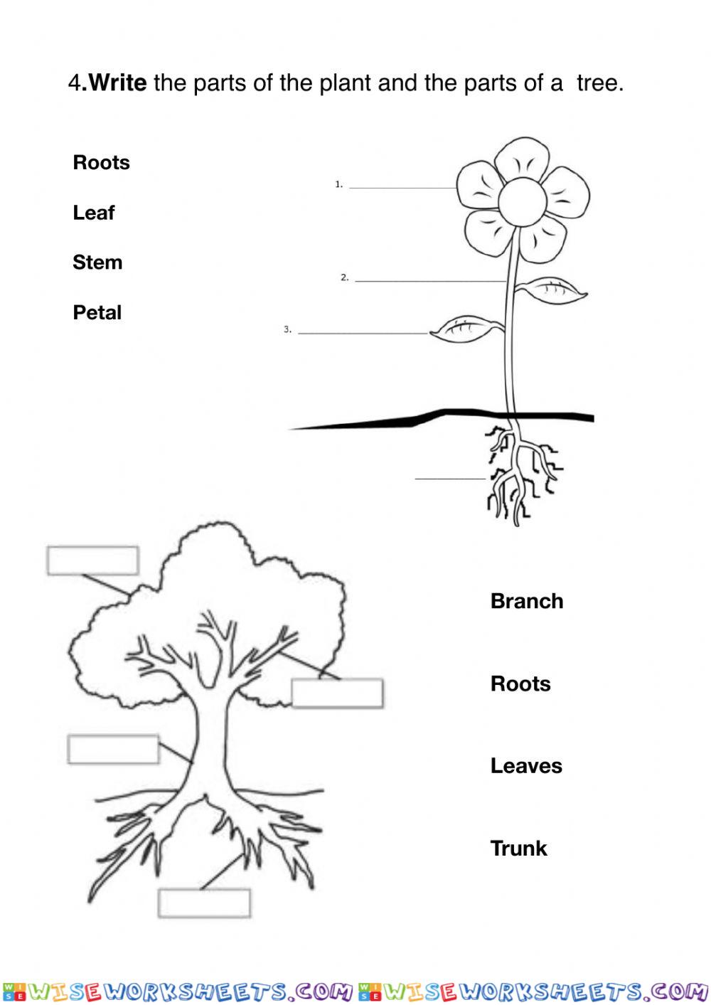 worksheet