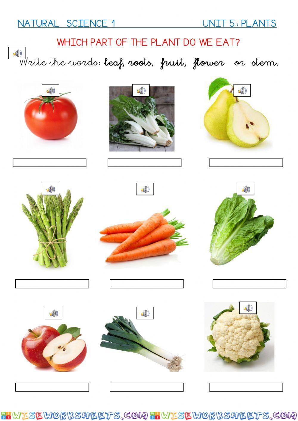worksheet