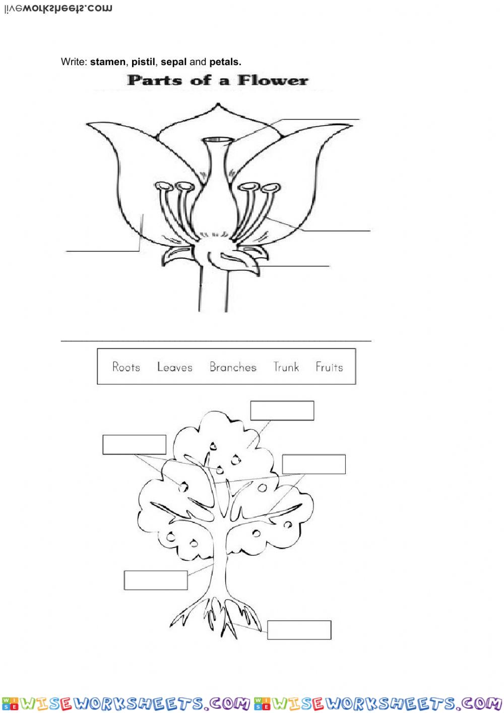 worksheet