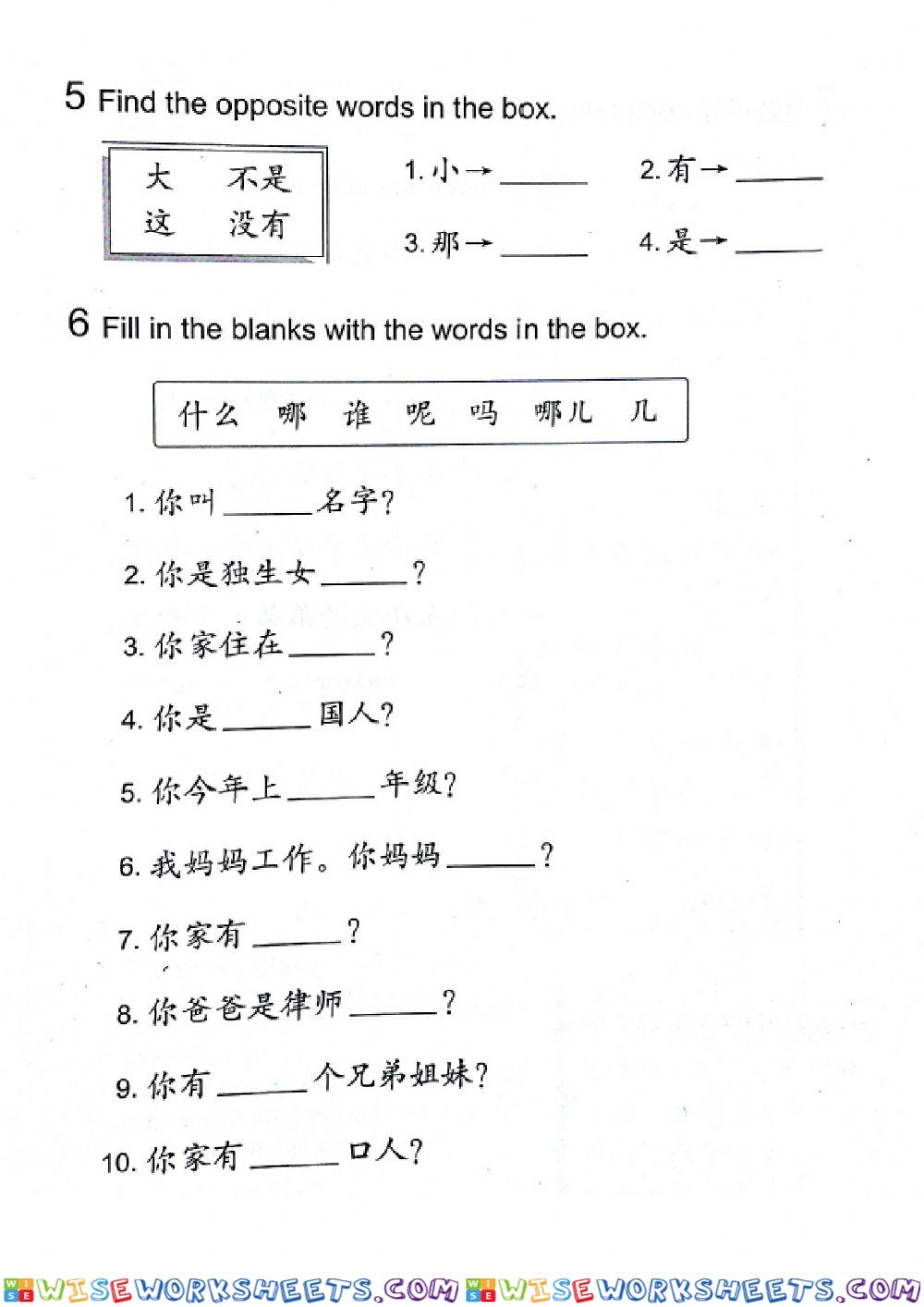 worksheet