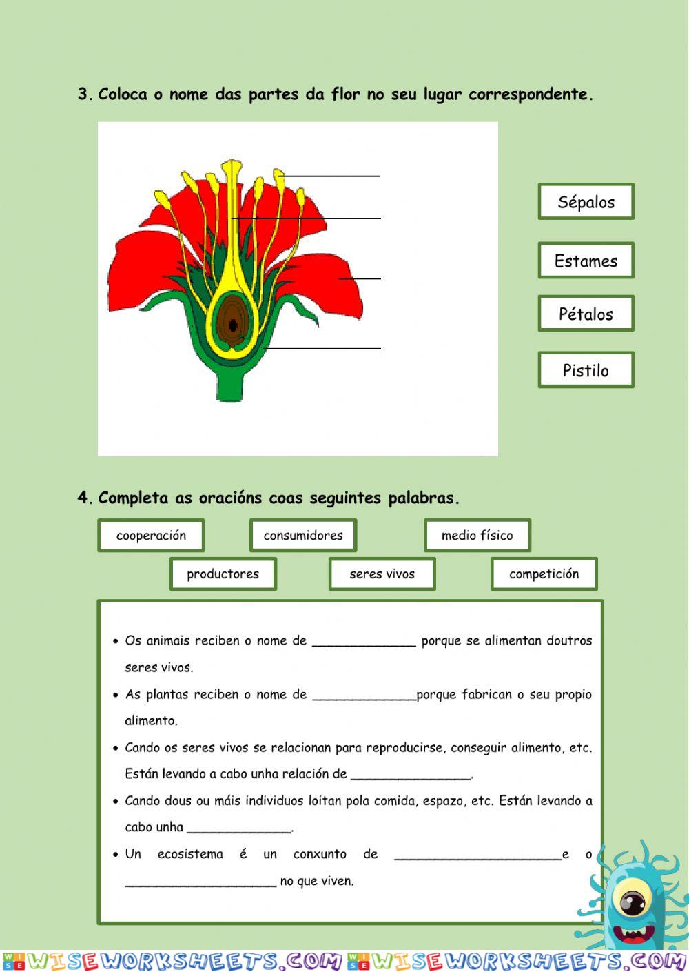 worksheet