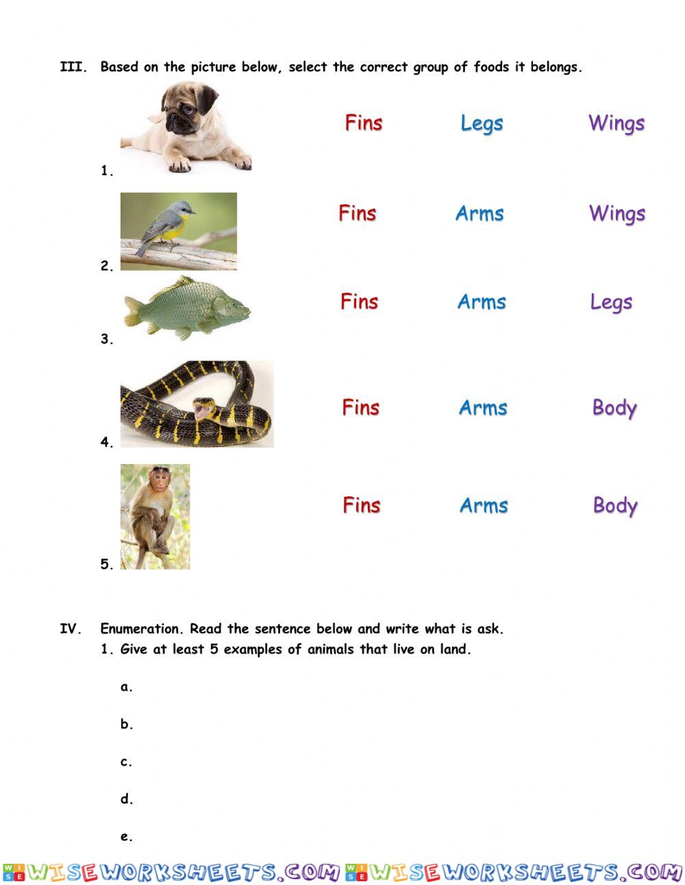 worksheet