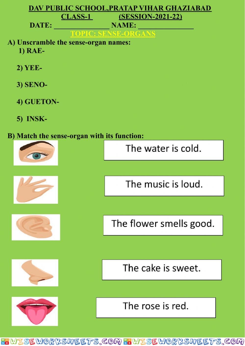 Sense-organs