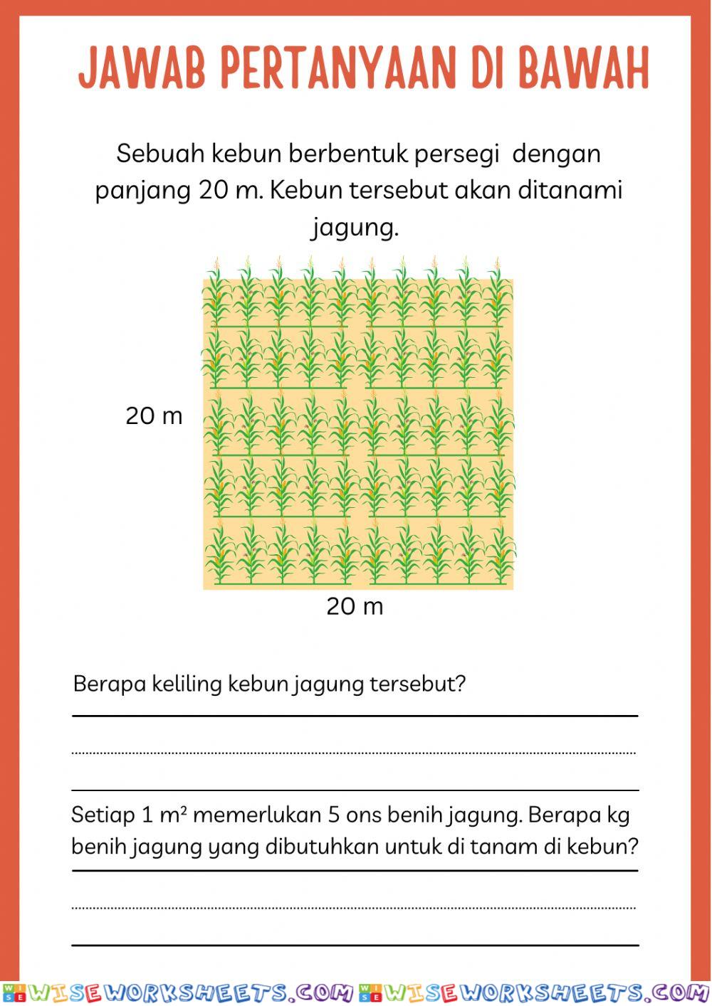 worksheet