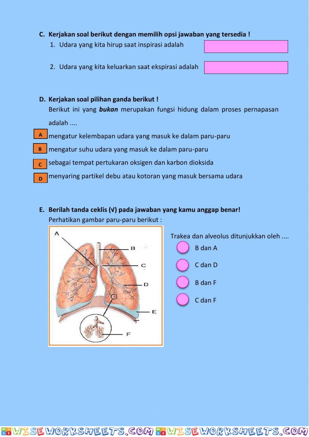 worksheet