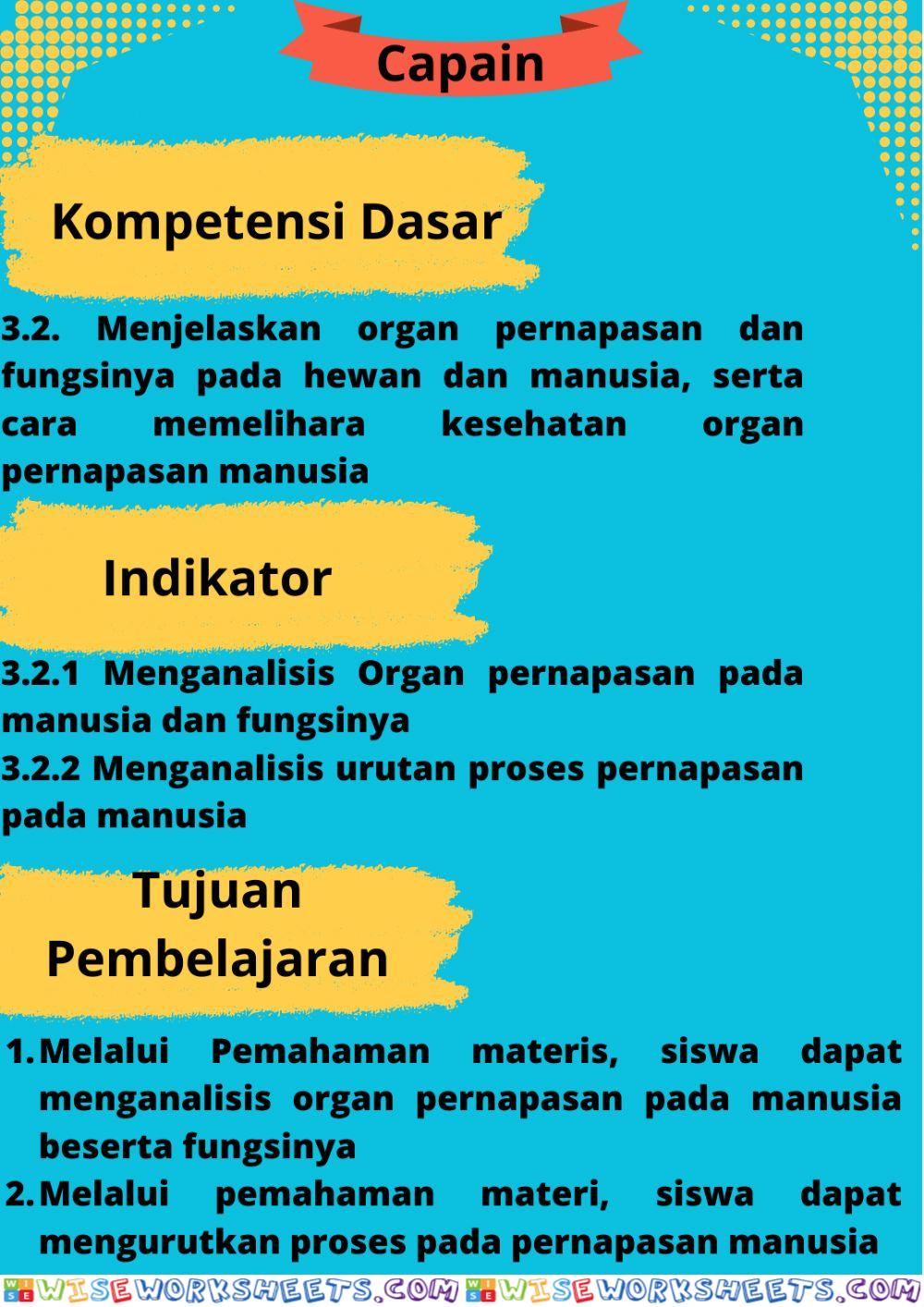 Sistem Pernapasan Manusia