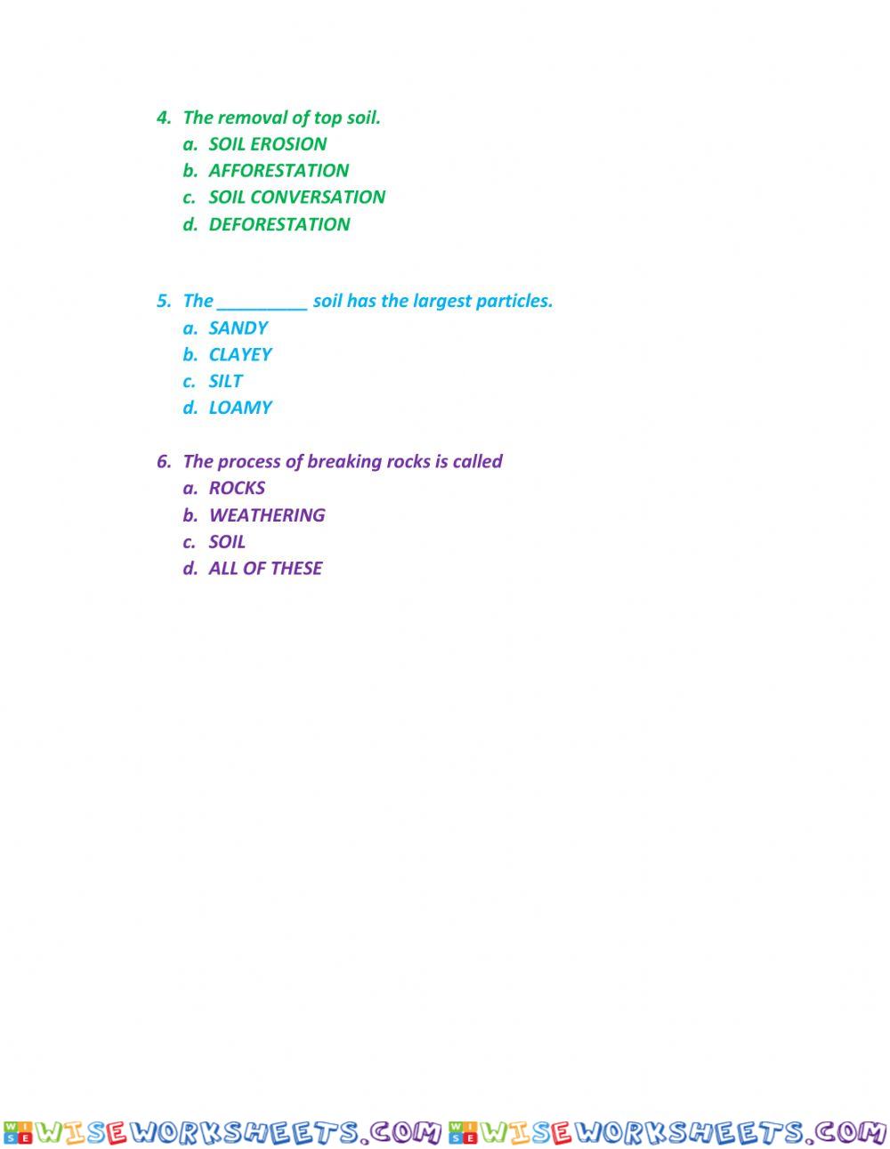 worksheet
