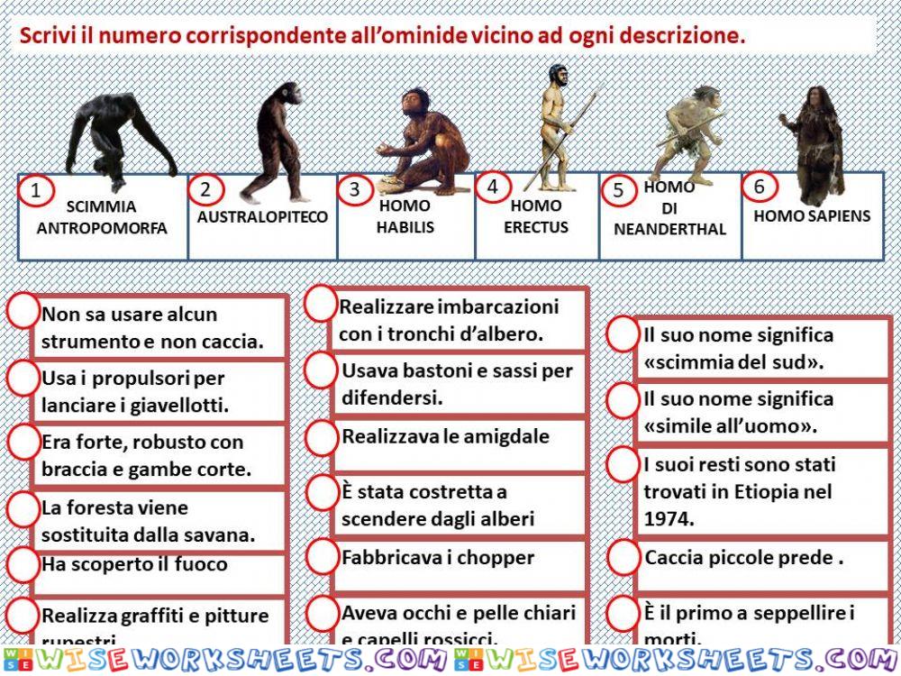 Scheda 3 Evoluzione dell'uomo