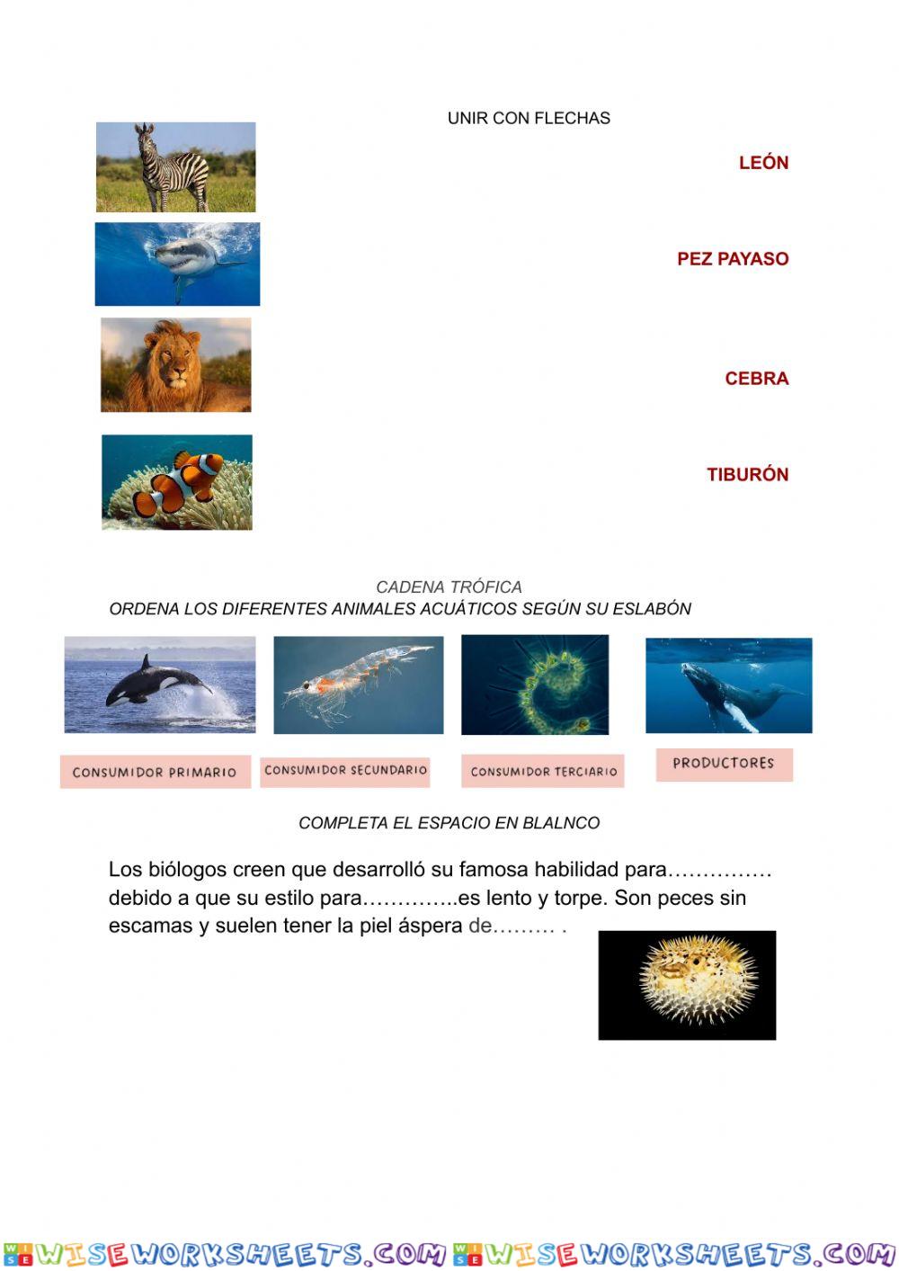 Ecosistema Acuático