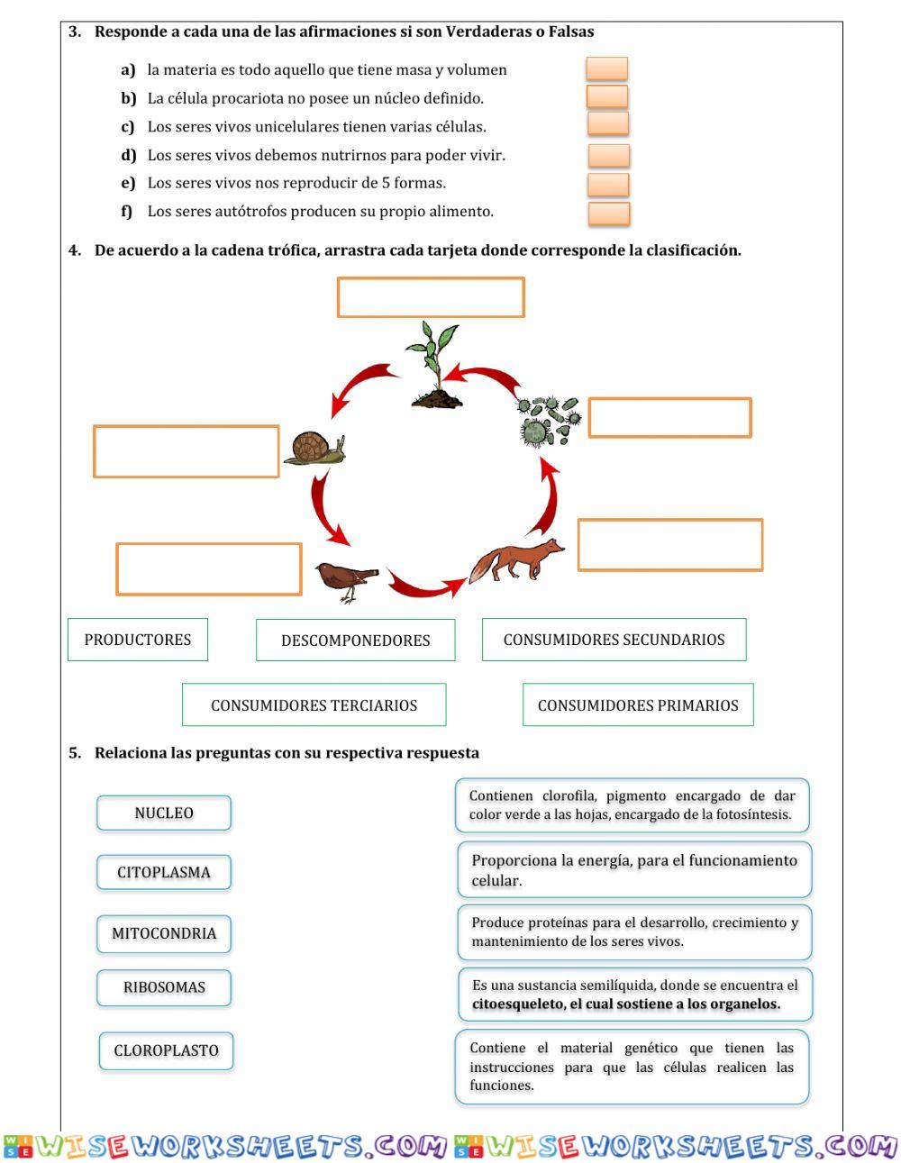 worksheet