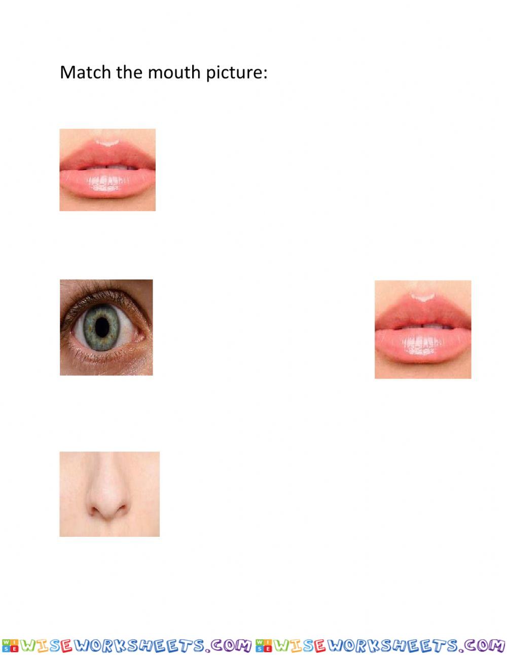 Body parts