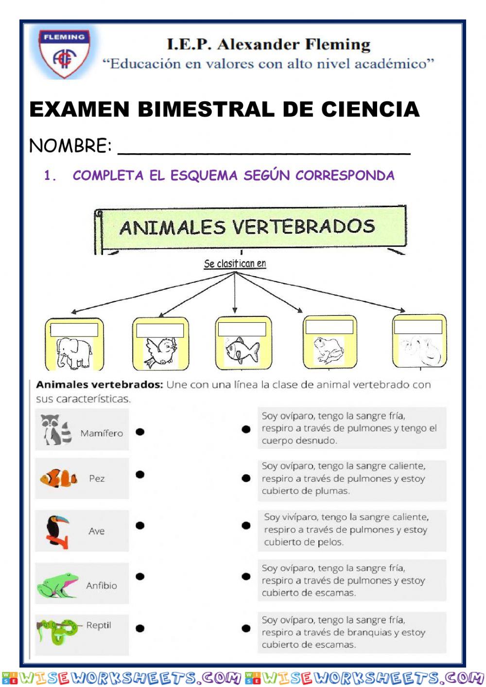 Examen bimestral de ciencia