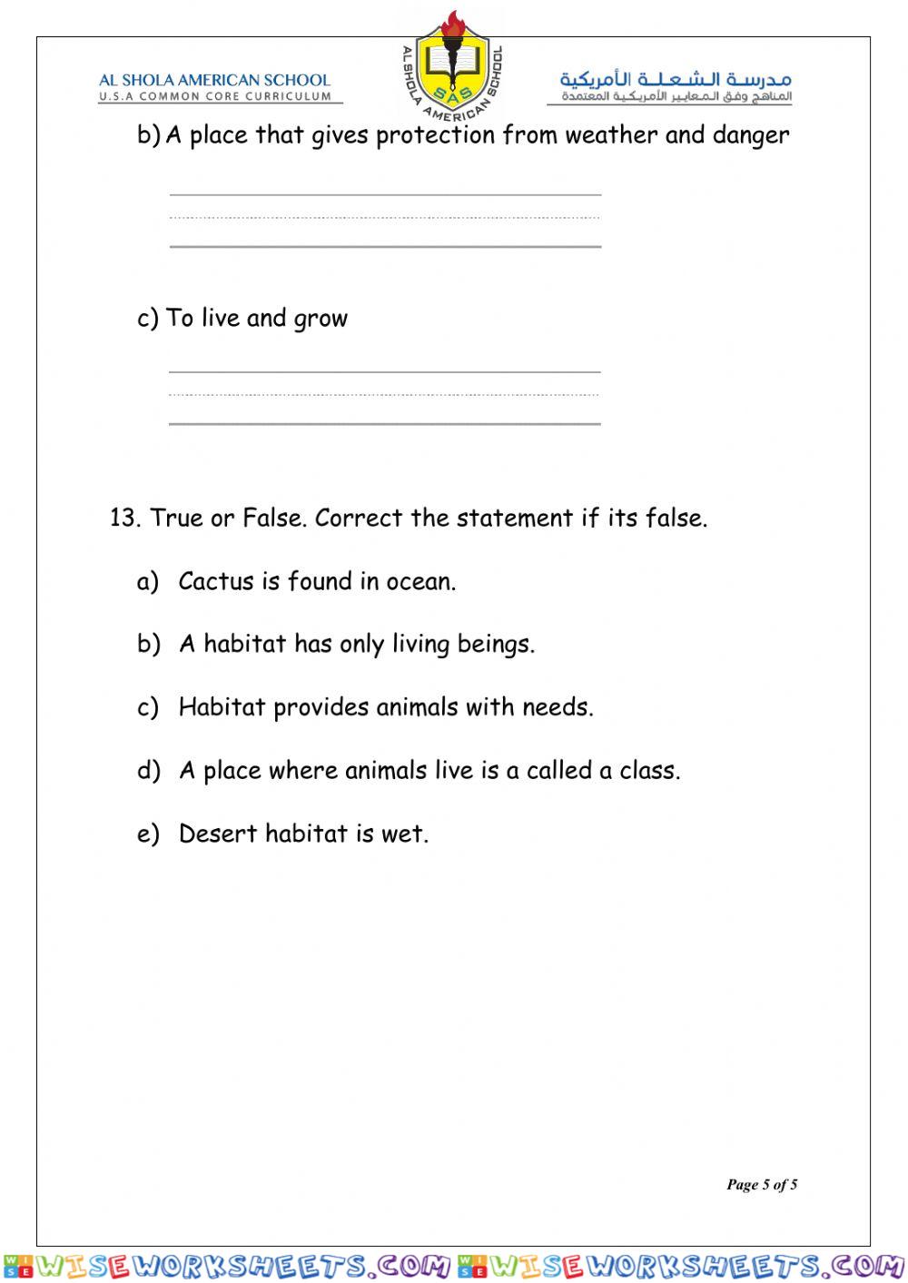 worksheet
