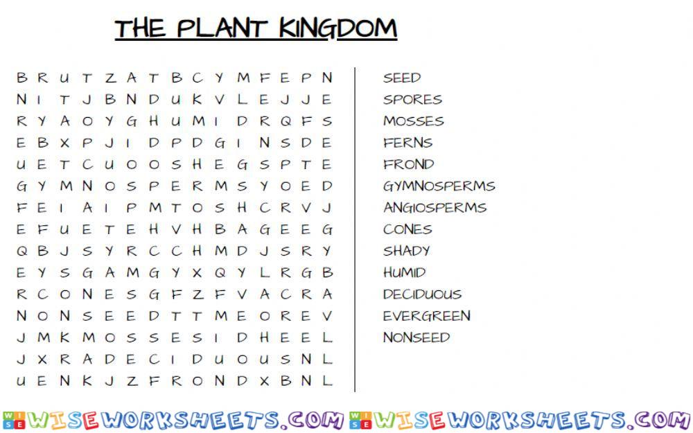 Plant Kingdom 5º grade task
