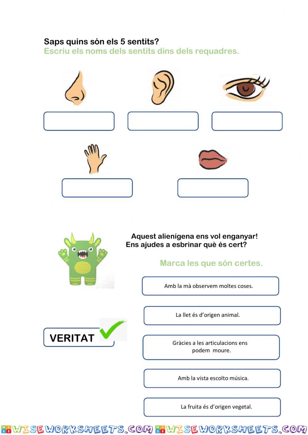 worksheet