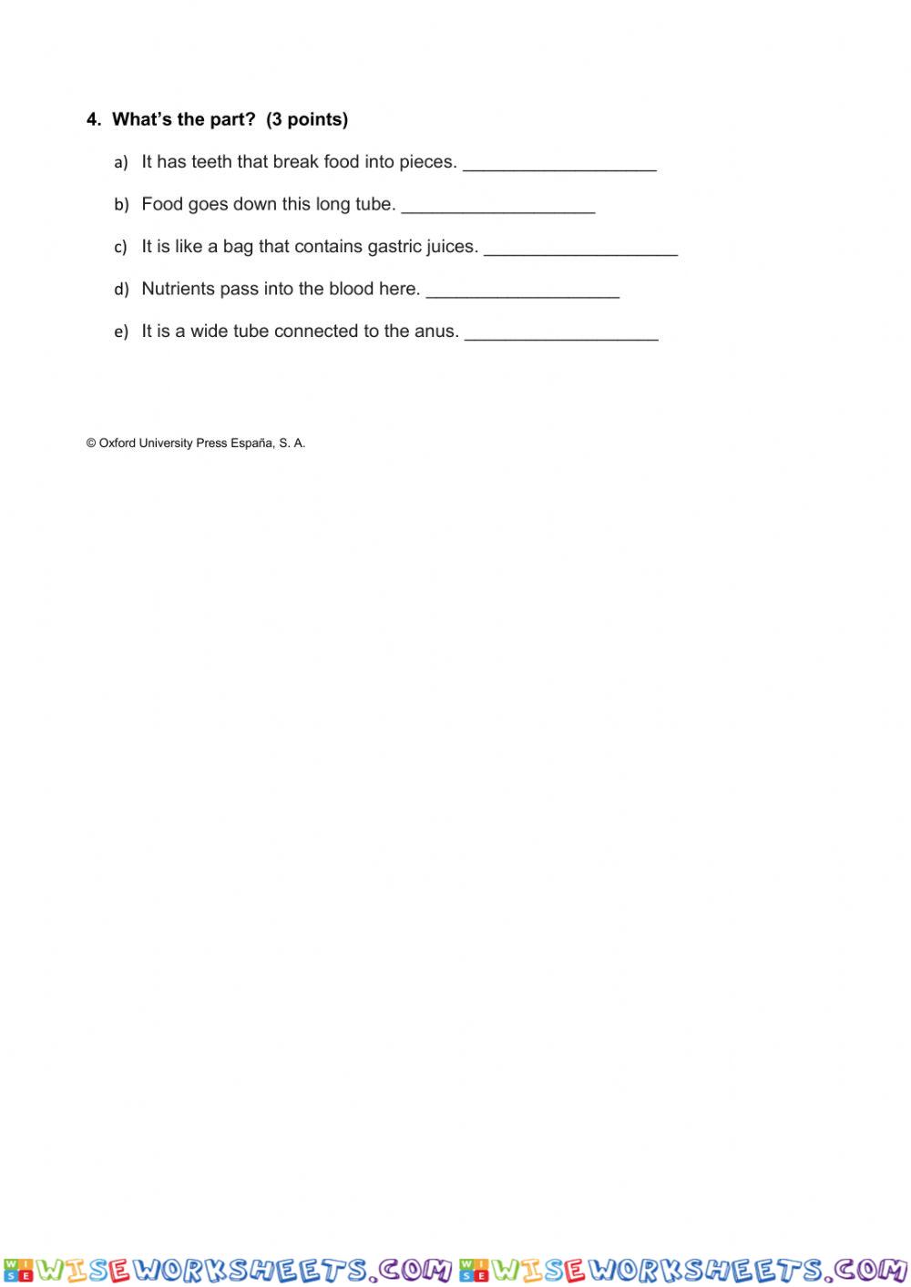 worksheet