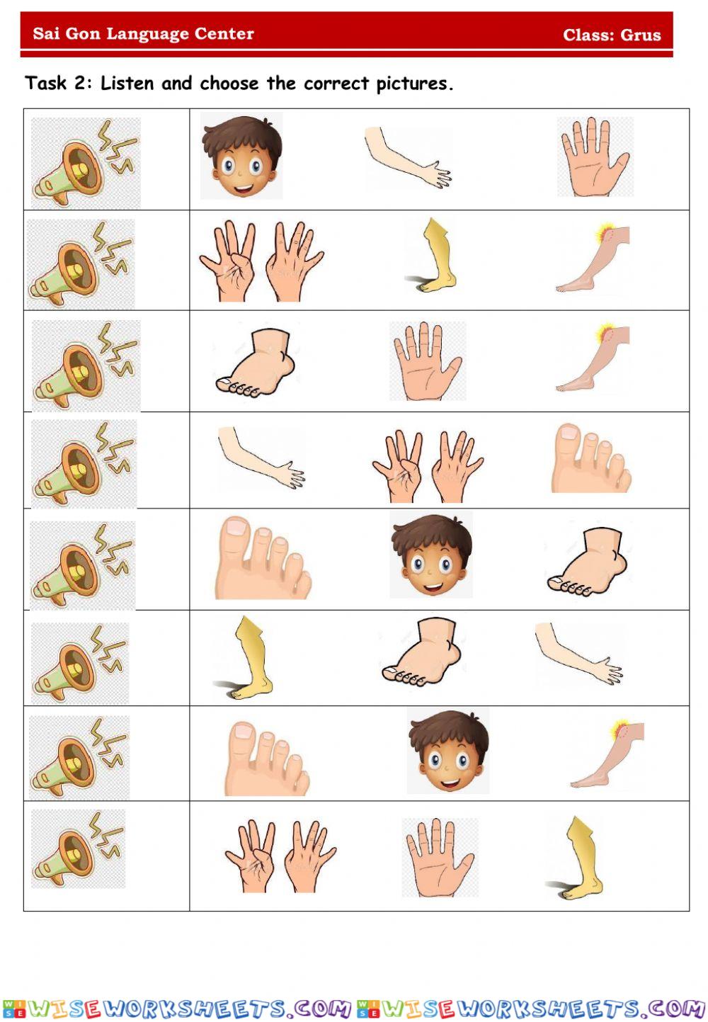 worksheet