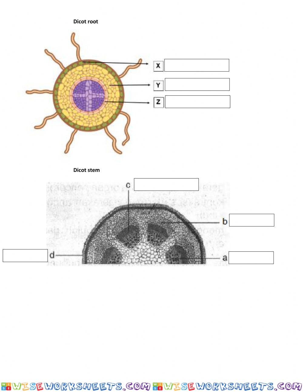 worksheet