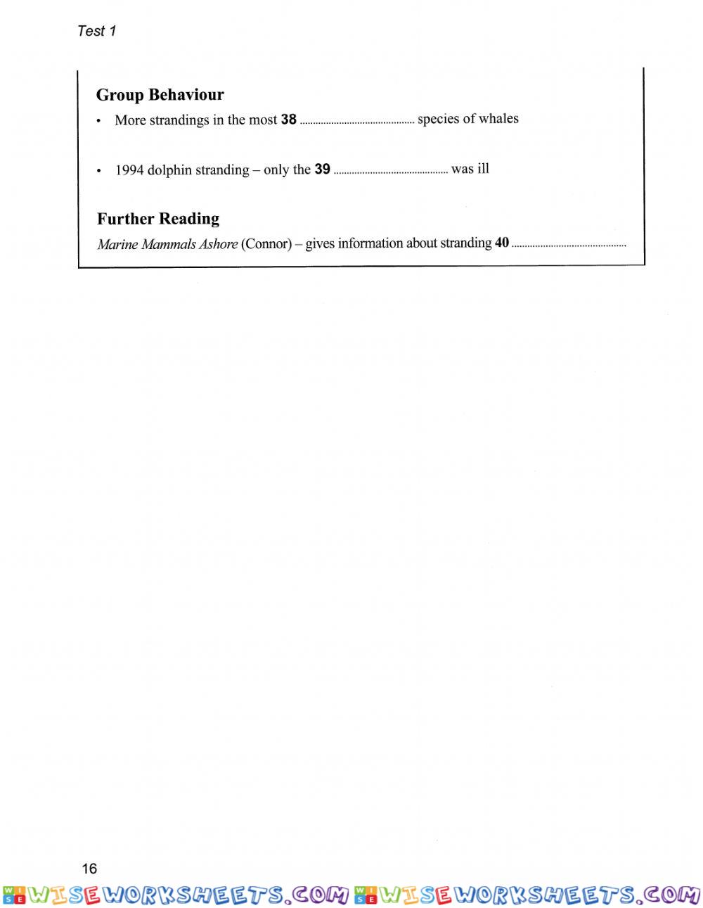 worksheet