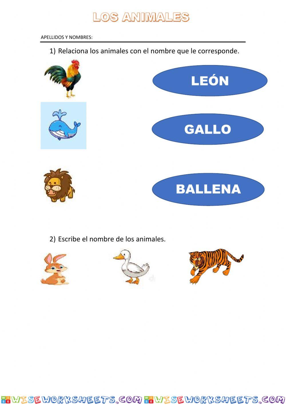 worksheet