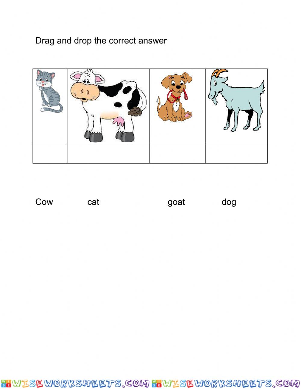 worksheet