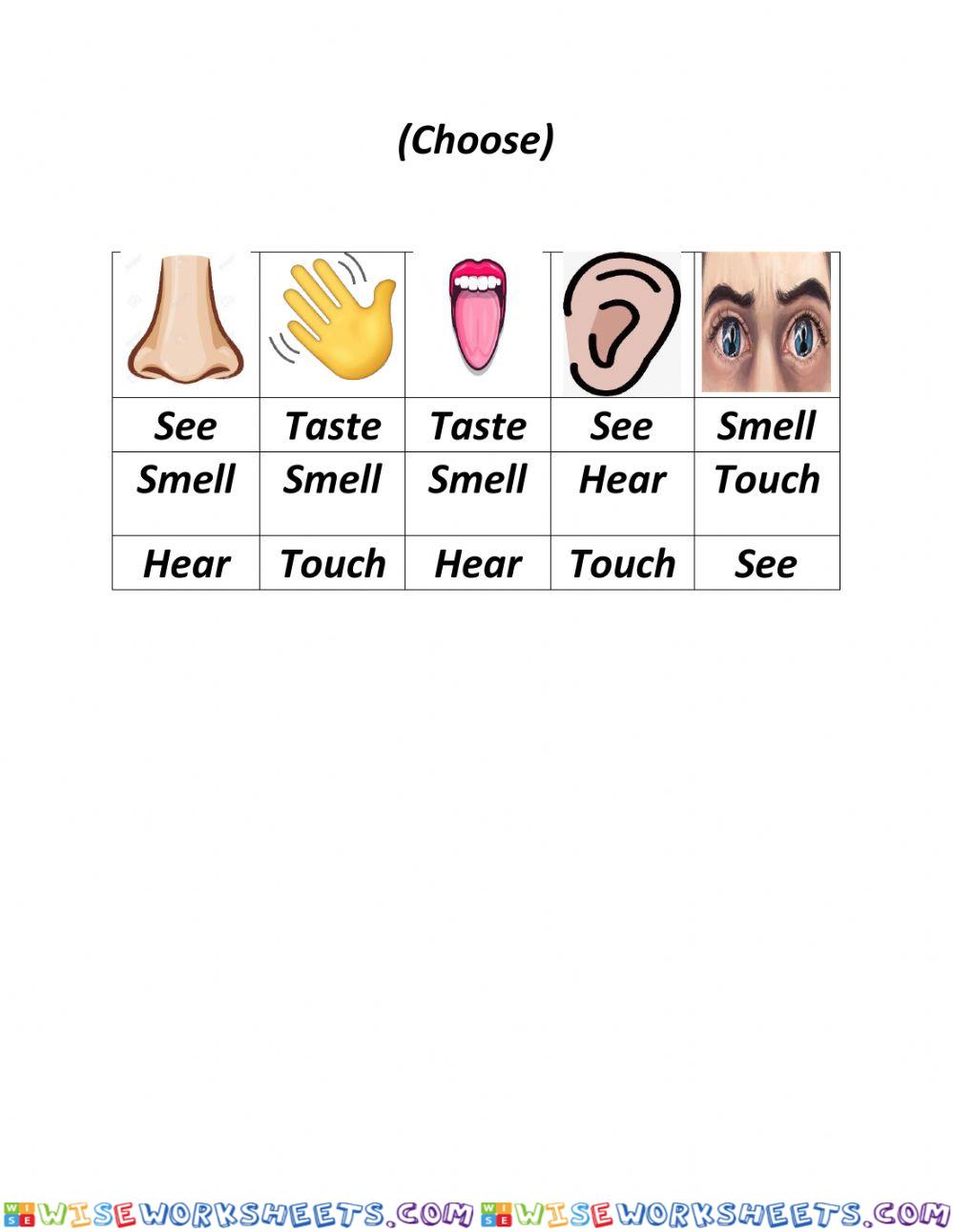 Senses