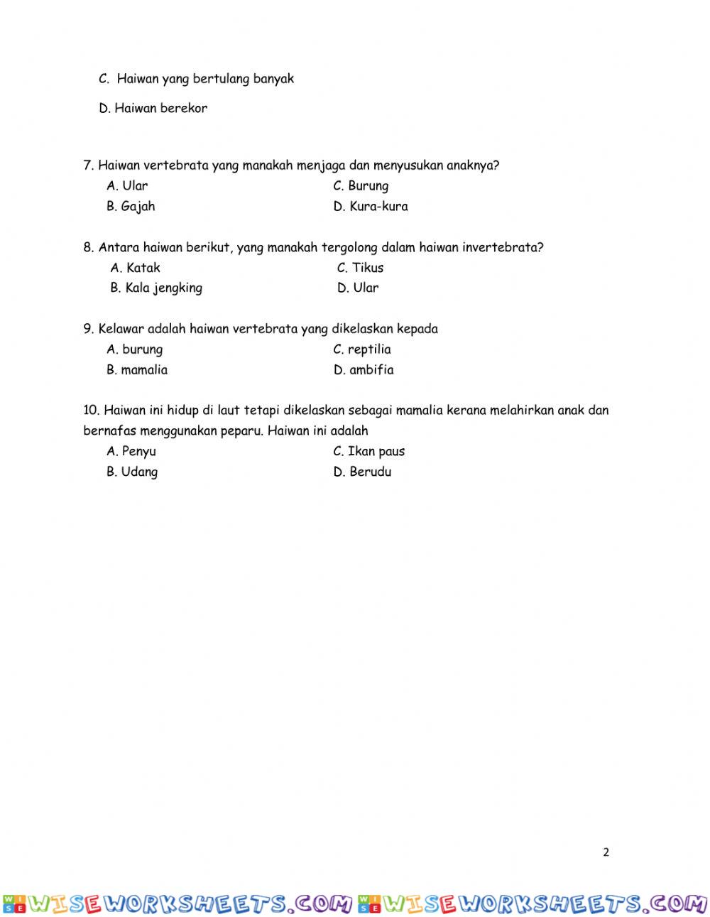 worksheet