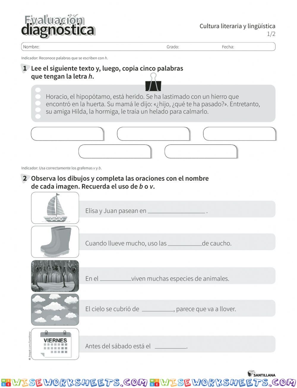 Evaluación Diagnostica Lengua y Literatura 3ro