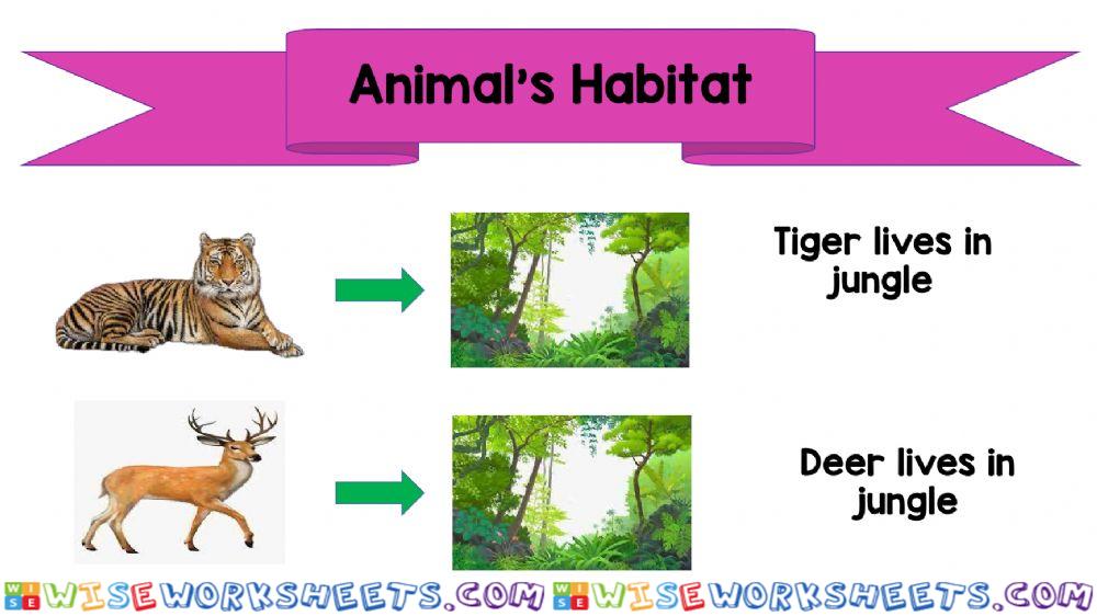 Animal habitat