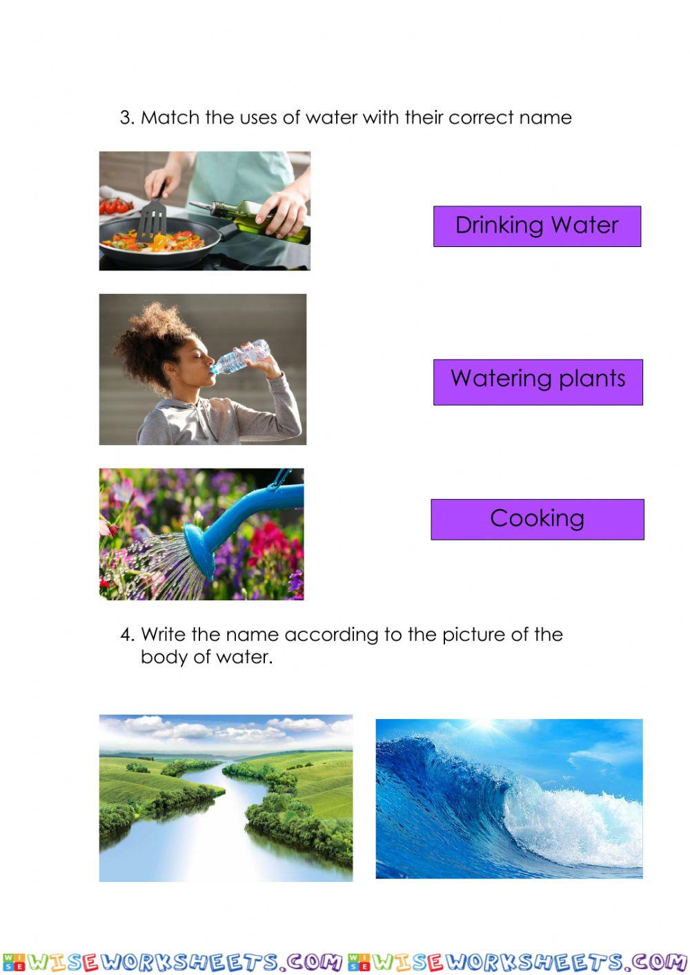 worksheet