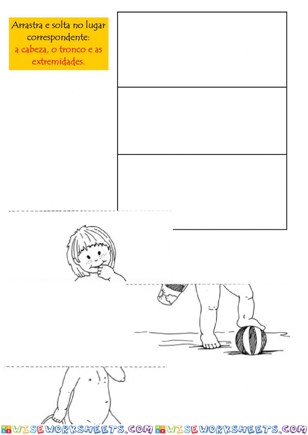 worksheet