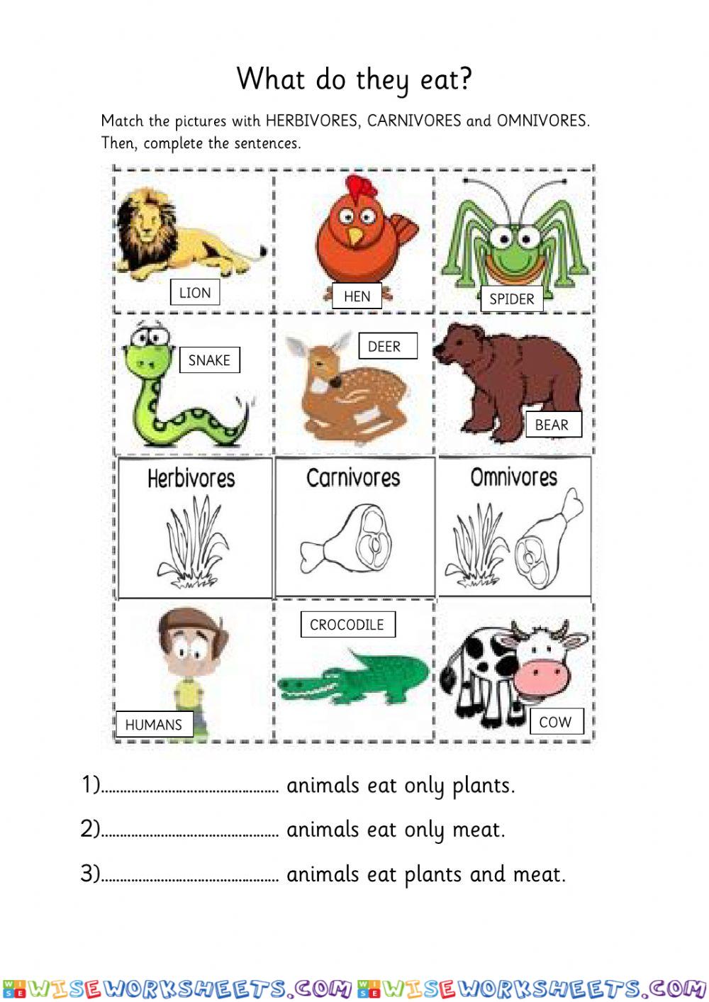 Carnivore, herbivore, omnivore