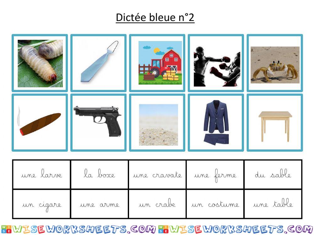 Dictée bleue 2