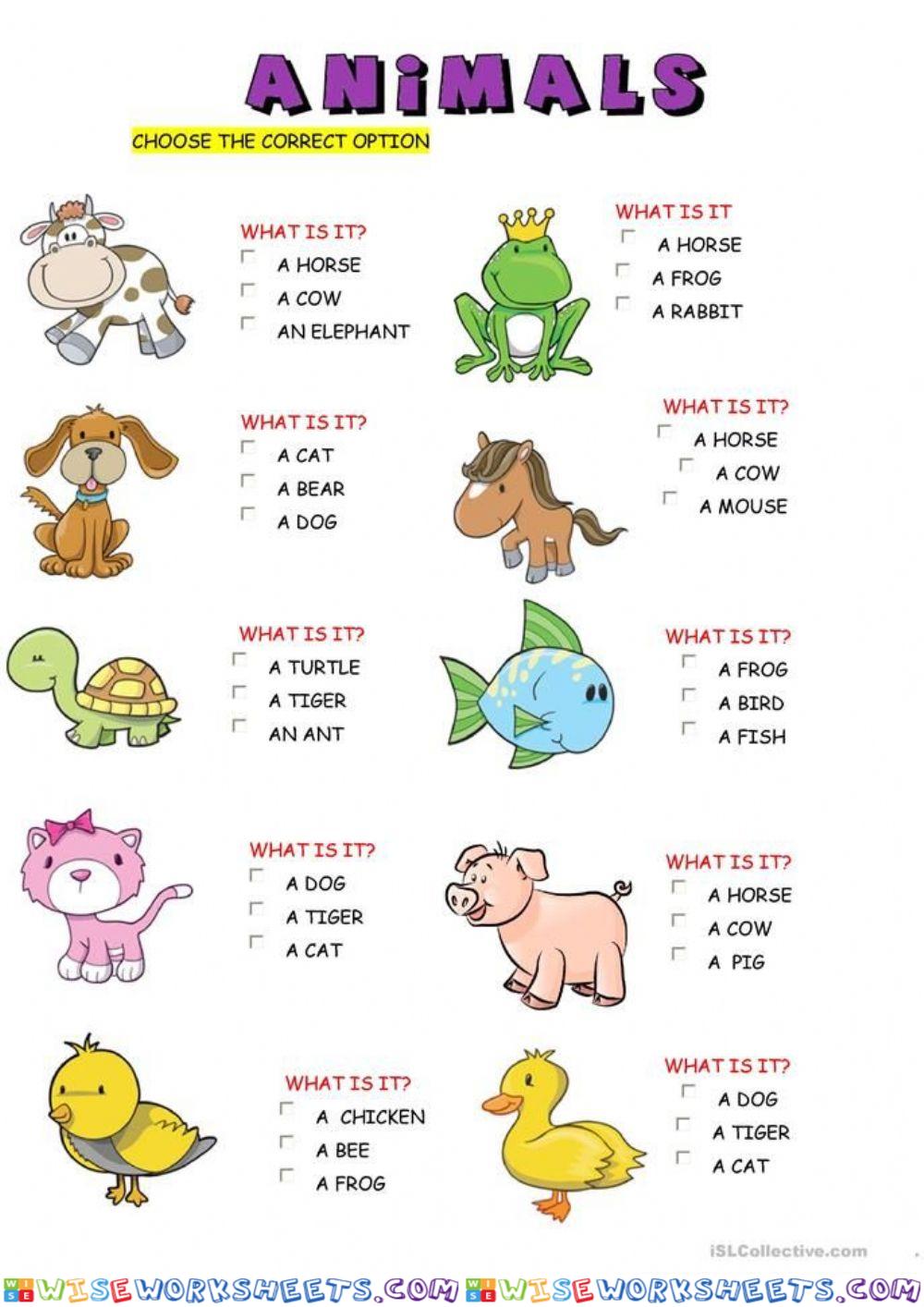 Choose animals name