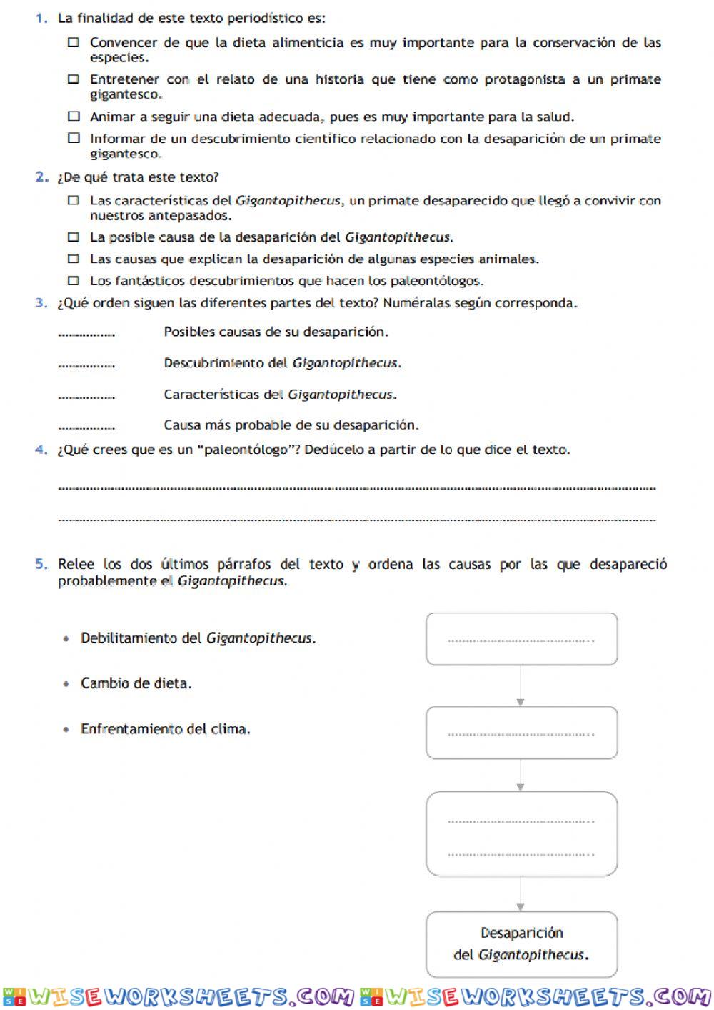 worksheet