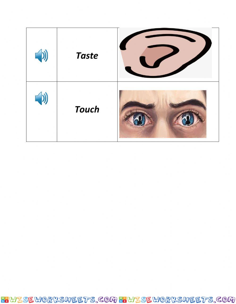 worksheet