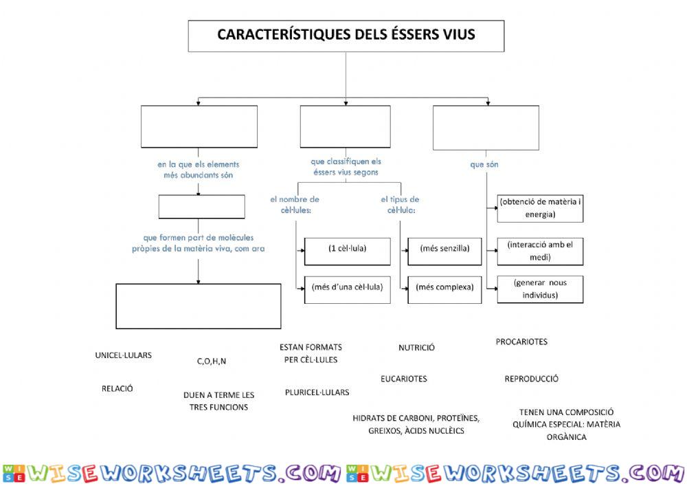 CARACTERÍSTIQUES DELS ÉSSERS VIUS