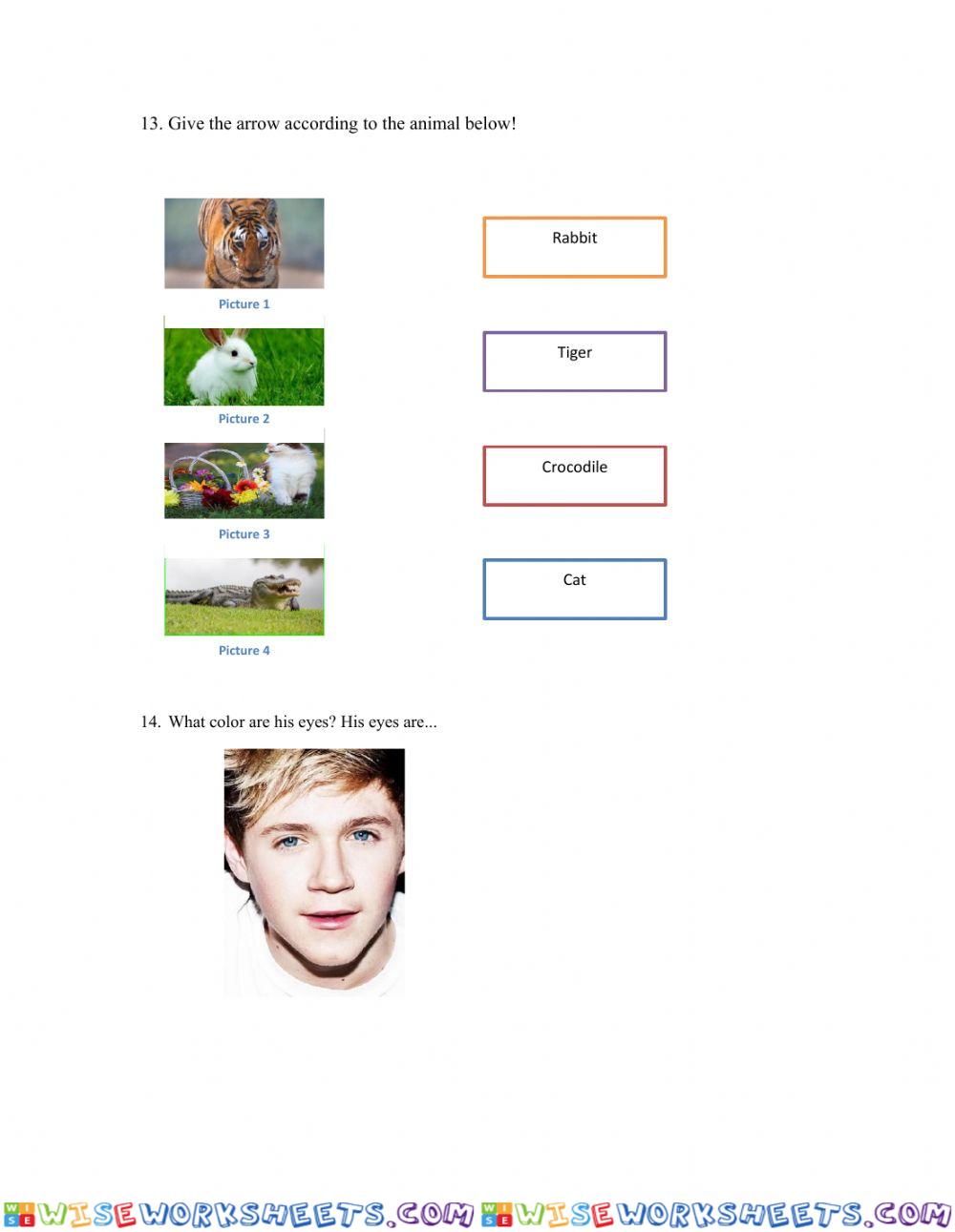 worksheet