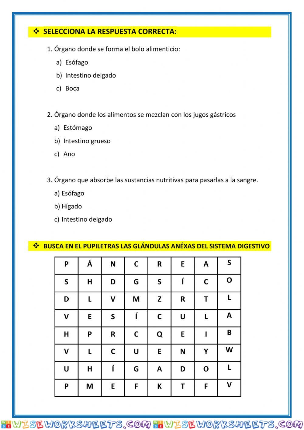 worksheet