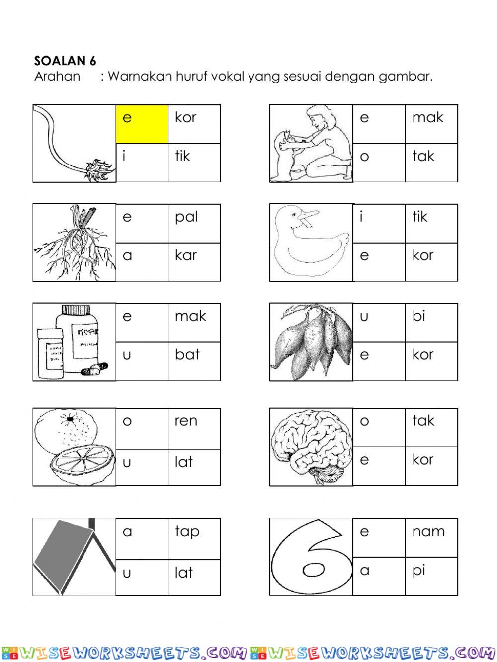 worksheet