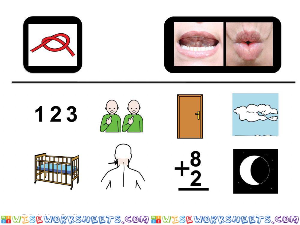 worksheet