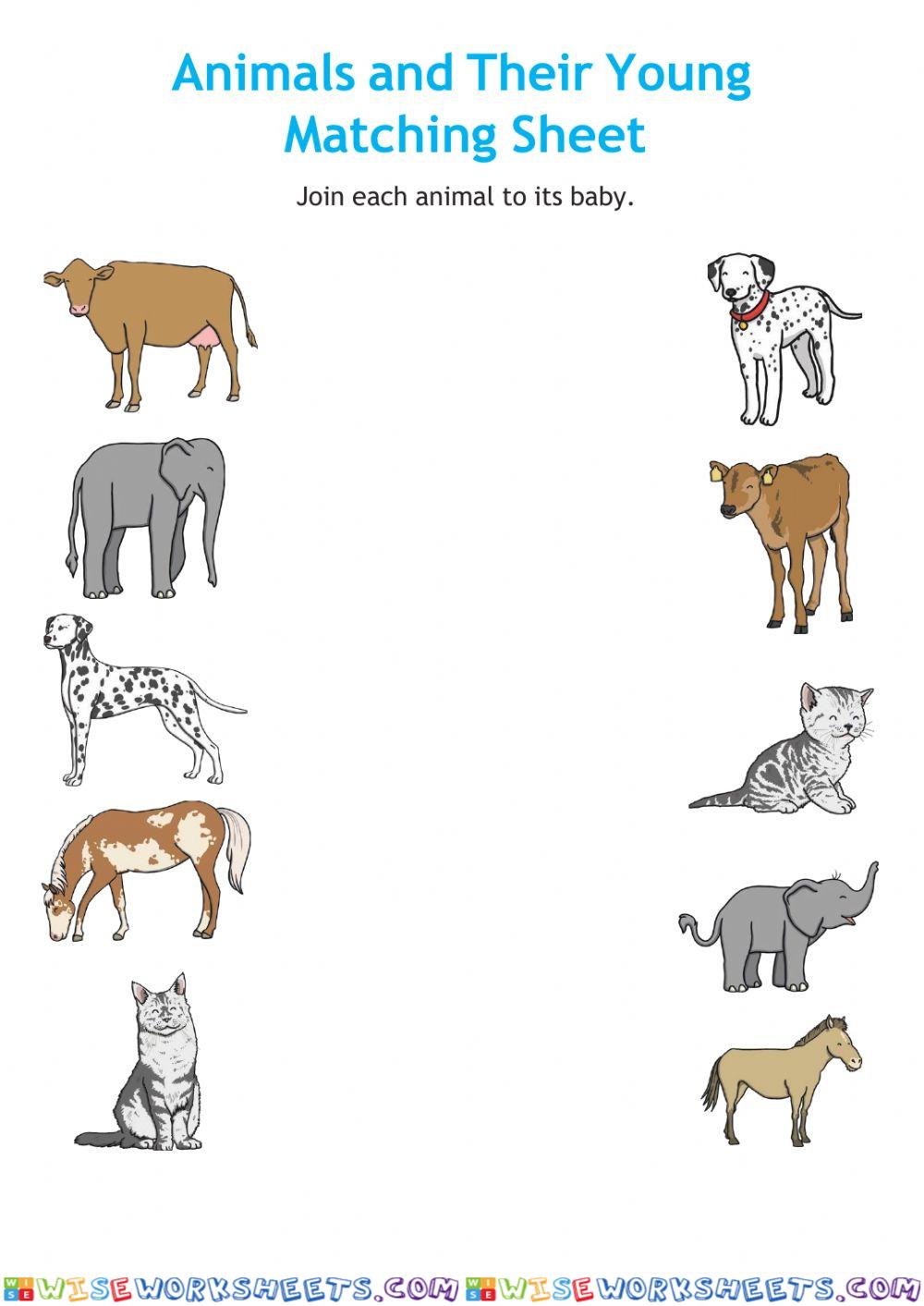 Animals and Their Babies
