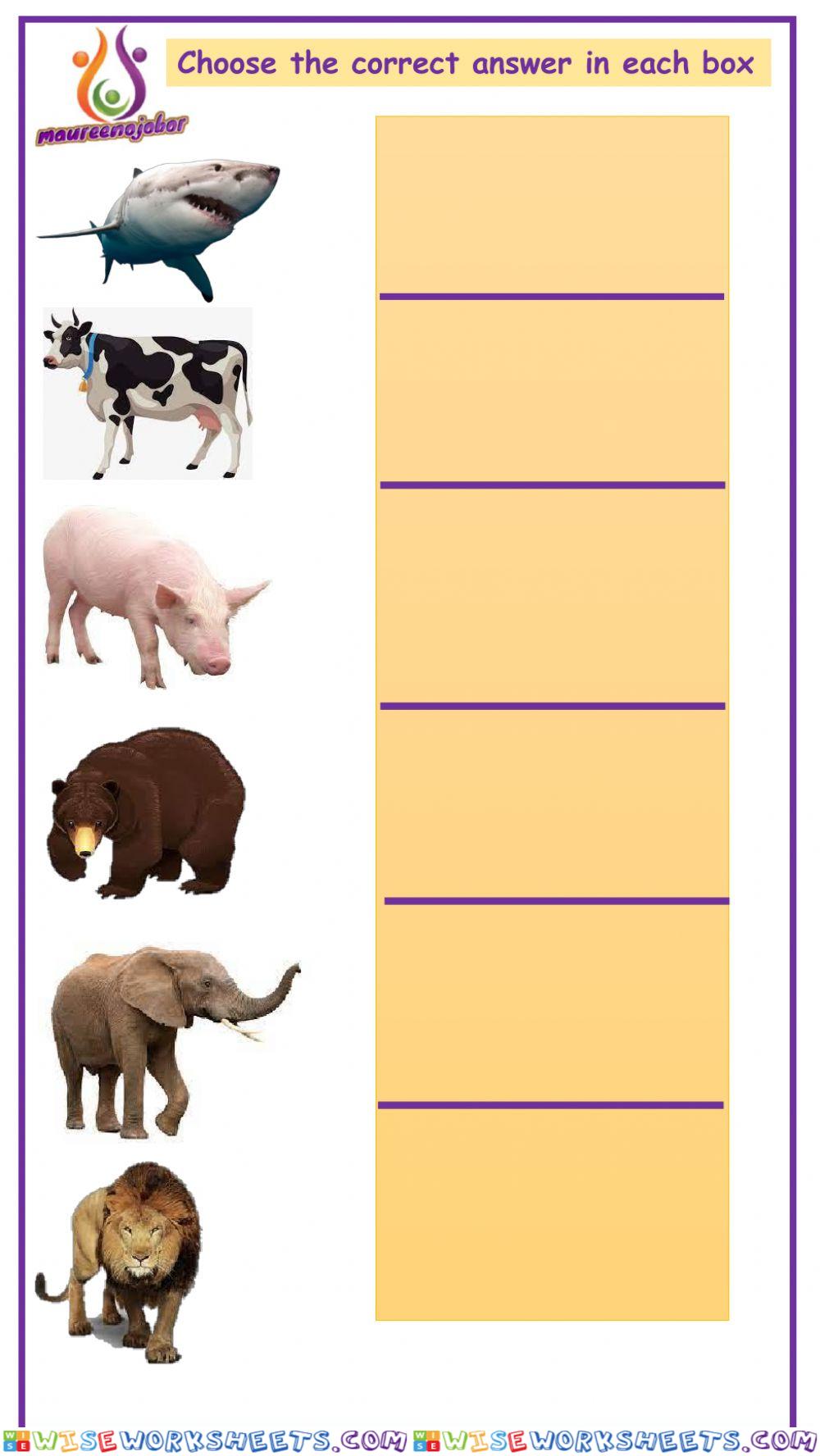 Animal feeding