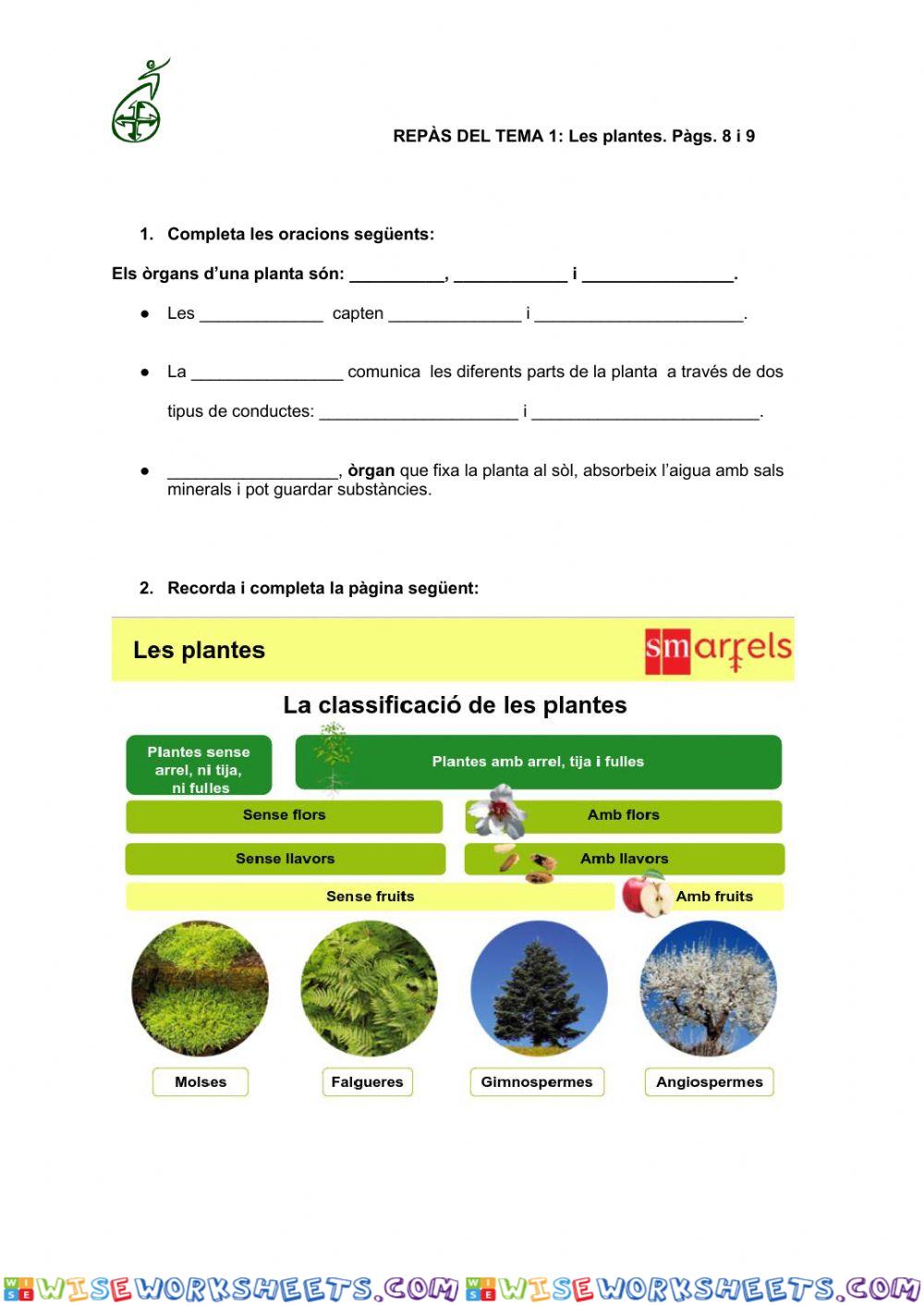 Les plantes