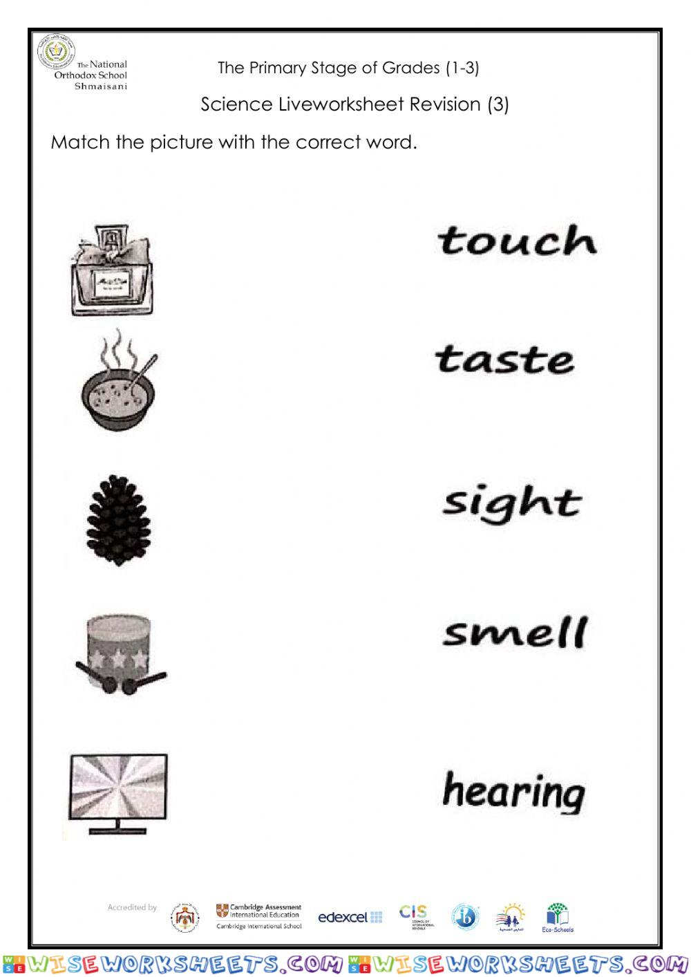 5 senses 2