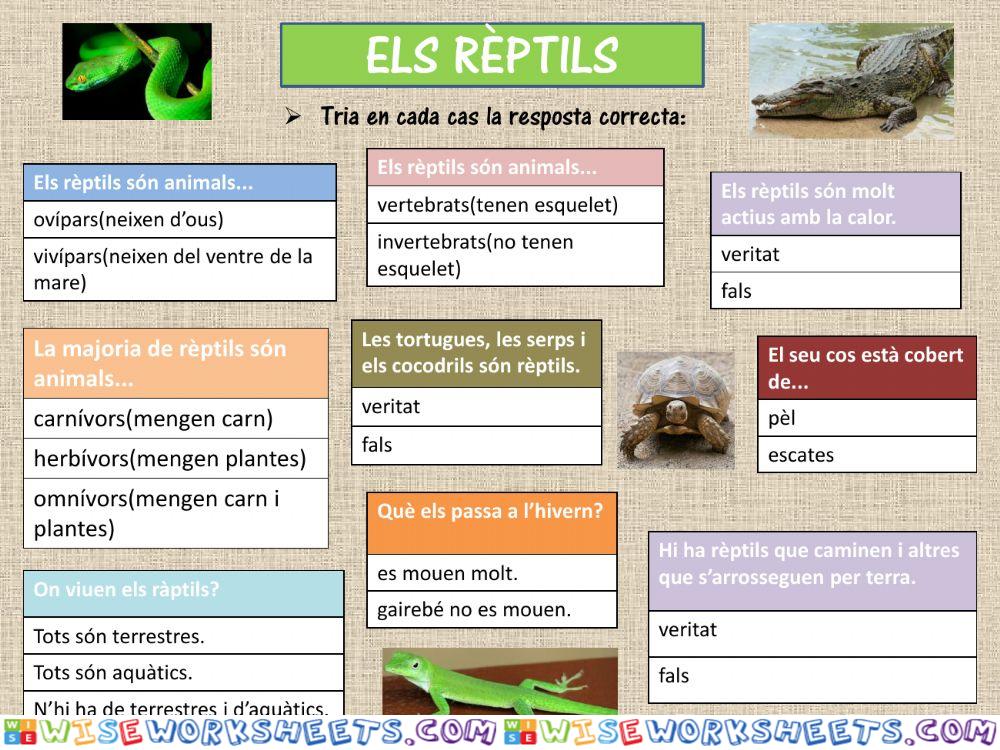 Els rèptils