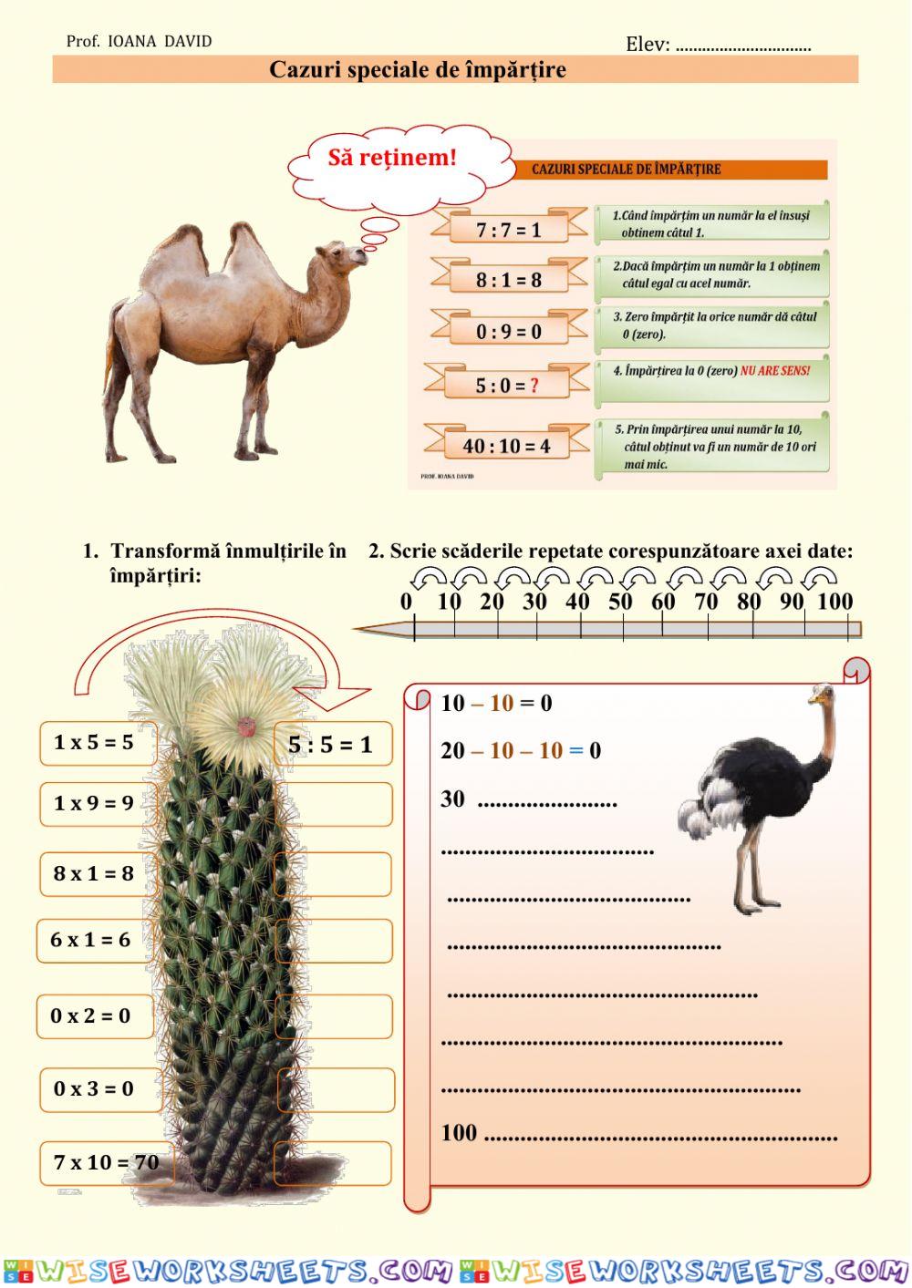 Cazuri speciale de impartire