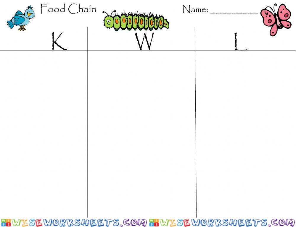 Food Chain - Food Web KWL Organizer