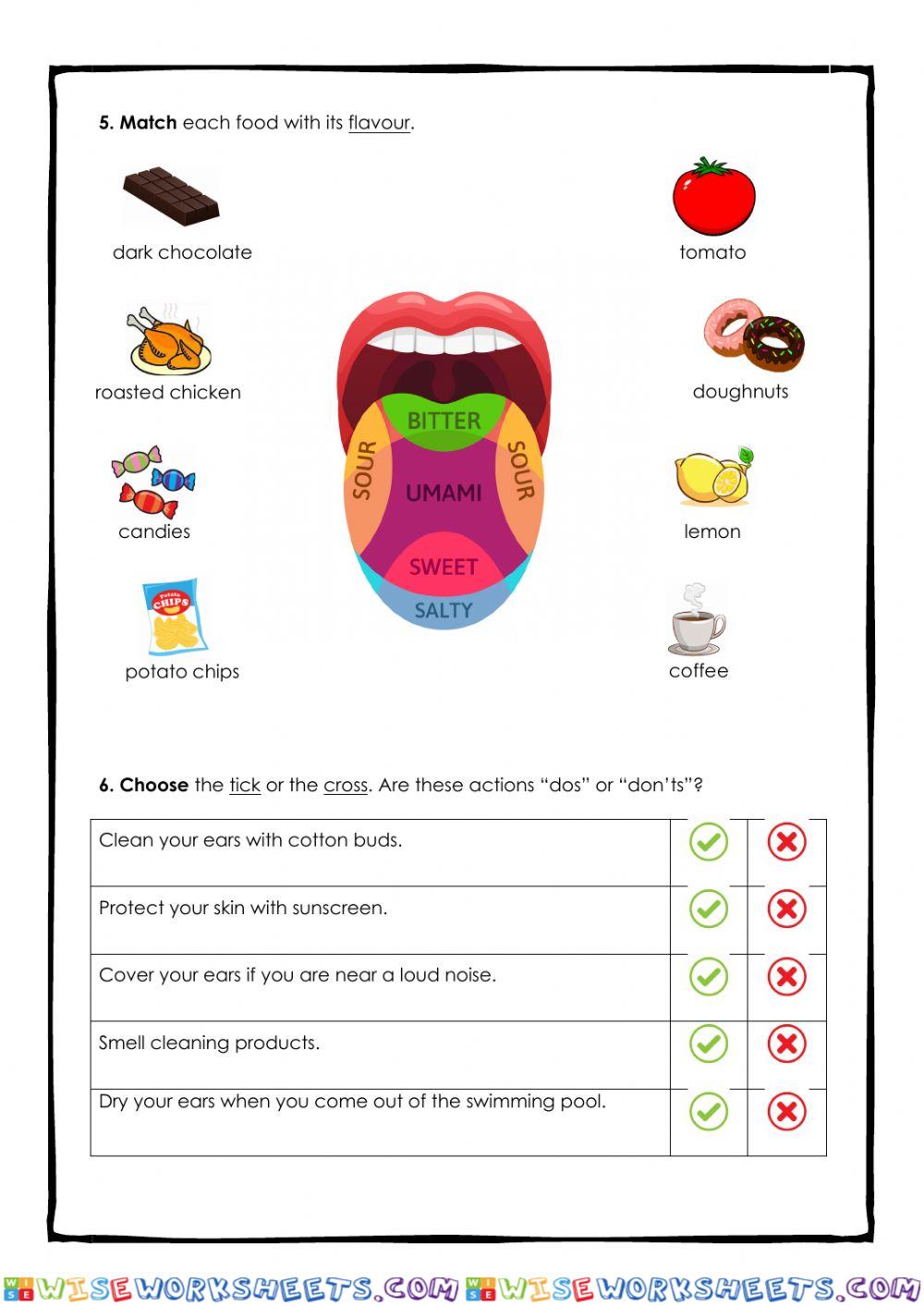 worksheet